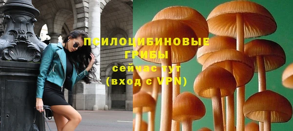 меф Нягань