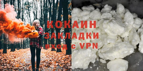 амф Няндома
