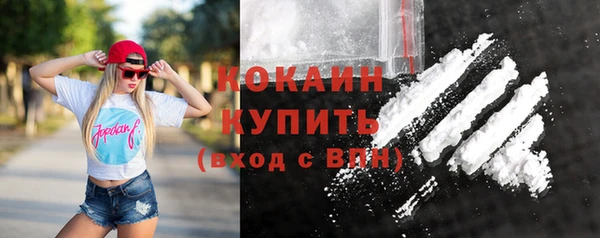 амф Няндома